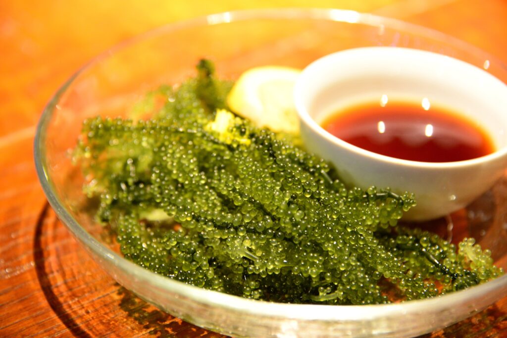 沖縄ランチをゆっくり楽しむなら三川食堂へ｜石垣の地元食材と温かな時間