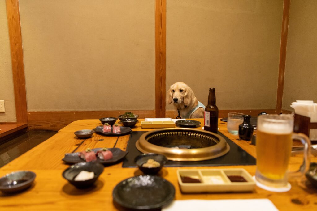 沖縄ランチをゆっくり楽しむなら三川食堂へ｜石垣の地元食材と温かな時間