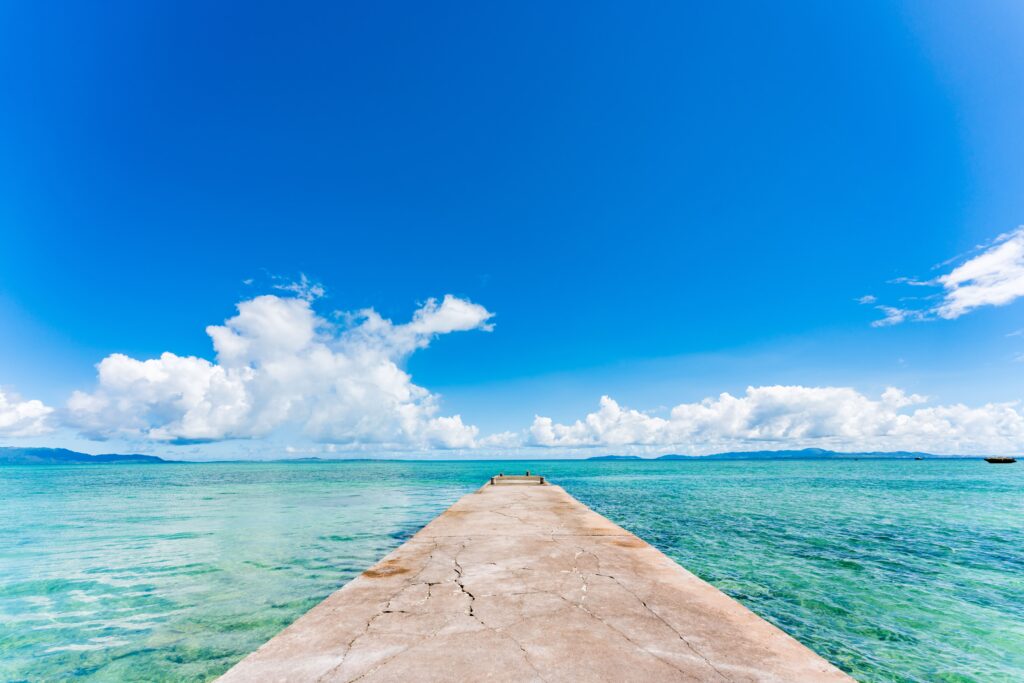 沖縄ランチで味わう極上の肉料理｜沖縄県石垣市の三川食堂が贈る本格地元グルメ体験