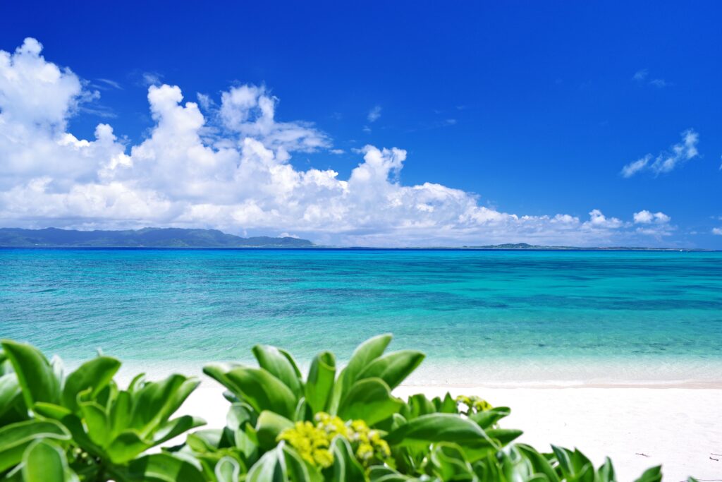 沖縄ランチで味わう極上の肉料理｜沖縄県石垣市の三川食堂が贈る本格地元グルメ体験