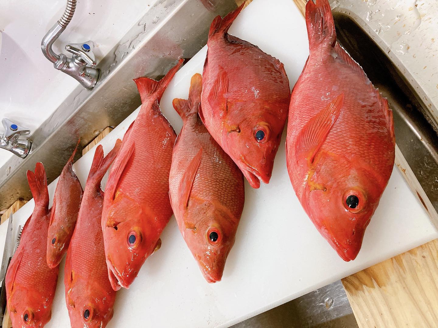 ドリンク一杯無料最終日！ぜひぜひお越しください！営業時間　ランチ：11:30〜14:00  夜：17:00〜22:00 ※定休日　火曜日　お弁当やオードブルの注文も承ります。　09068691336