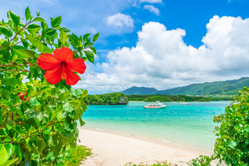 沖縄県石垣市の三川食堂で味わう島の恵みと温かなひととき