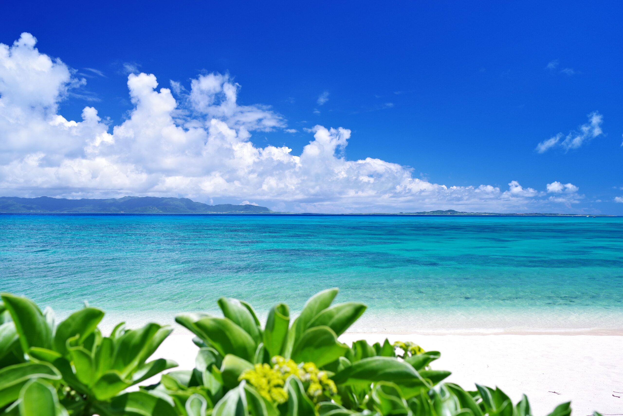 三川食堂｜沖縄県石垣市で味わう地元に愛される食堂の魅力