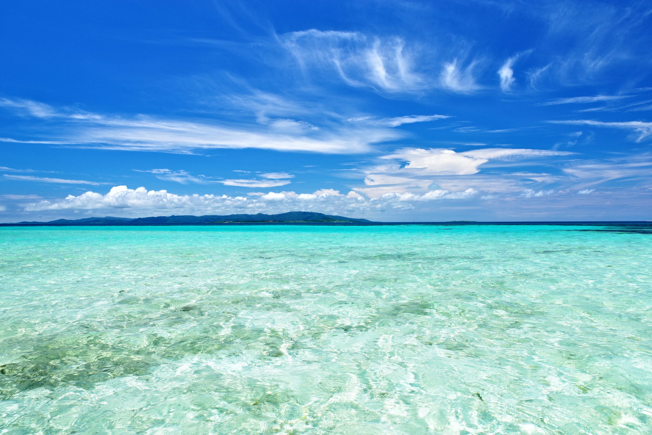 三川食堂が沖縄県石垣市で大切にしている沖縄料理とスパムへの想い